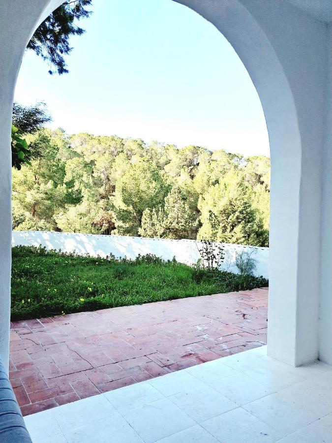 Casa Victoria Suites San José Dış mekan fotoğraf